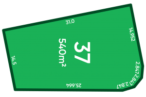 Rosewood Green - St Andrews Release Lot 37 Plan